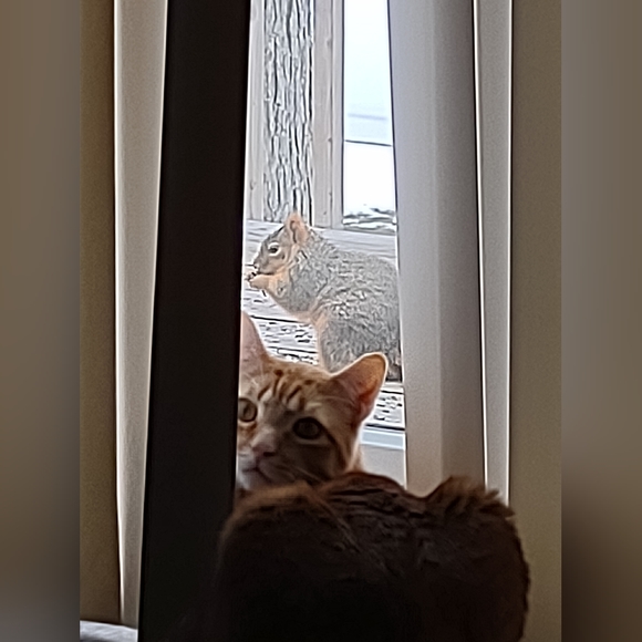 YOU could looks this fabulous too! - Picture 9 of 12